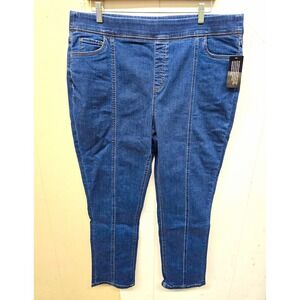 d&co. denim + company Women's Blue Medium Wash Skinny Jeans Stretch 18W